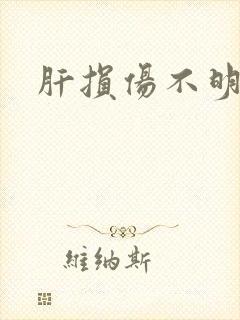 肝损伤不明原因