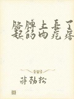 胳膊上长了个凸起的肉疙瘩挂什么科