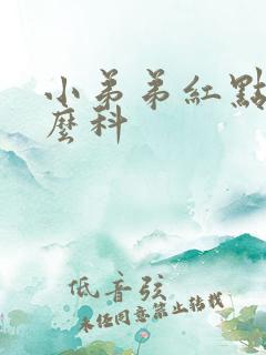 小弟弟红点挂什么科