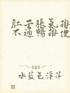 肚子胀气排便少不通畅排便困难