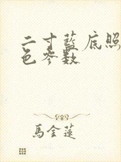 二寸蓝底照片蓝色参数