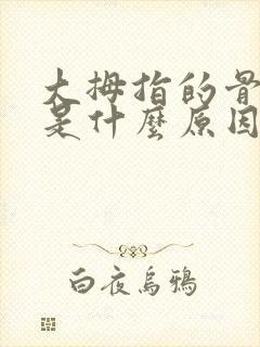 大拇指的骨头痛是什么原因