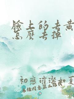 脸上的去黄褐斑怎么去掉