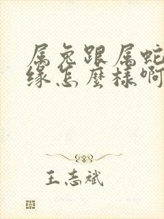 属兔跟属蛇的姻缘怎么样啊