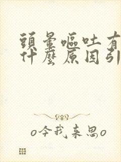 头晕呕吐有血是什么原因引起的