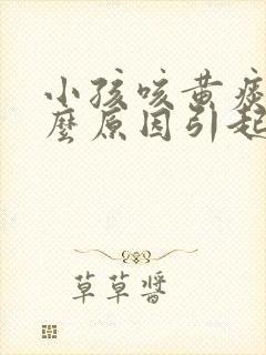 小孩咳黄痰是什么原因引起的