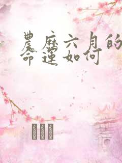 农历六月的狗女命运如何