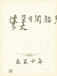 怀孕9周胎儿有多大