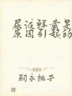 尿液鲜黄是什么原因引起的