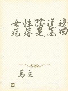 女性阴道边有小疙瘩是怎回事