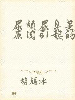 尿频尿臭是什么原因引起的