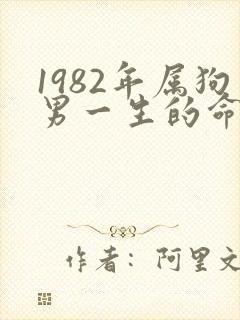 1982年属狗男一生的命运