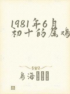 1981年6月初十的属鸡人命运