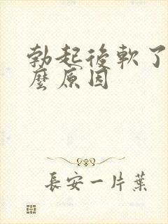 勃起后软了是什么原因