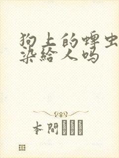 狗上的蜱虫会传染给人吗