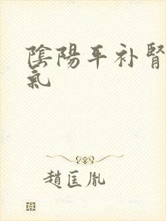 阴阳平补肾精肾气