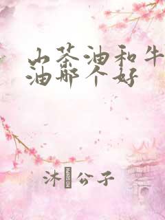 山茶油和牛油果油哪个好