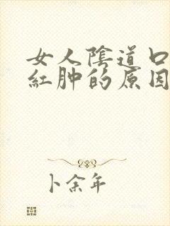 女人阴道口疙瘩红肿的原因