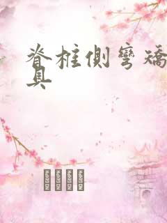 脊椎侧弯矫正支具