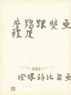 摩羯跟双鱼匹配程度