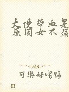 大便带血是什么原因女不痛