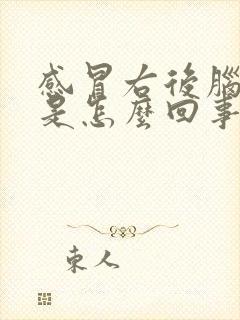 感冒右后脑勺疼是怎么回事