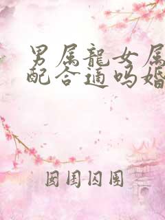 男属龙女属兔婚配合适吗婚姻如何