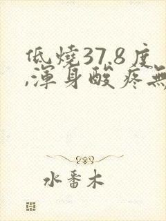 低烧37.8度,浑身酸疼无力