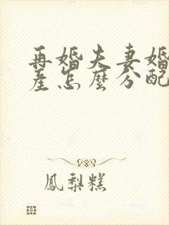 再婚夫妻婚后房产怎么分配和继承