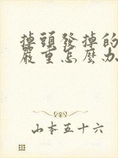 掉头发掉的特别严重怎么办