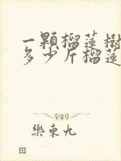 一颗榴莲树能产多少斤榴莲