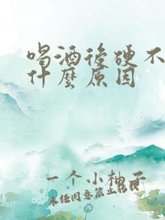 喝酒后硬不起是什么原因