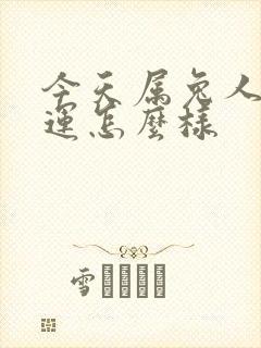 今天属兔人的财运怎么样