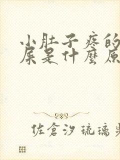 小肚子疼的想拉屎是什么原因?