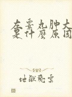 左睾丸肿大疼痛是什么原因引起的