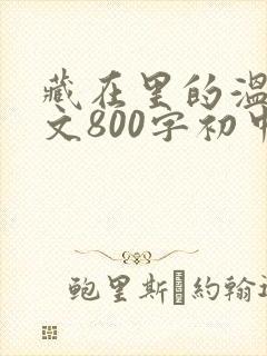 藏在里的温暖作文800字初中