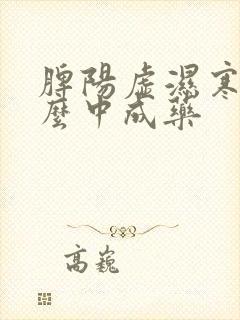 脾阳虚湿寒吃什么中成药