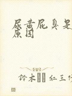 尿黄屁臭是什么原因