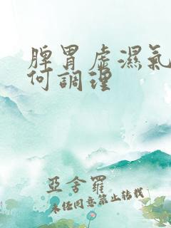 脾胃虚湿气重如何调理