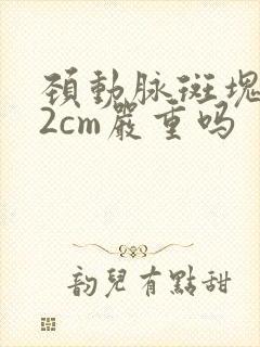 颈动脉斑块0.2cm严重吗