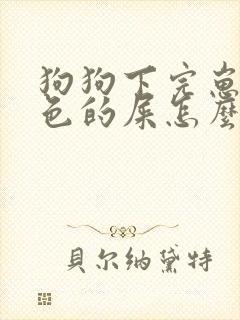 狗狗下完崽拉黑色的屎怎么回事