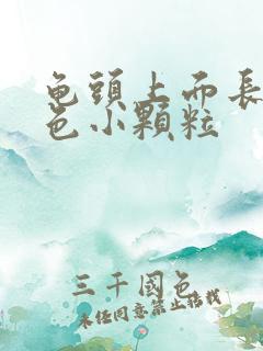 龟头上面长了白色小颗粒