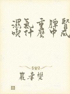 湿气重脾肾两虚吃什么中成药