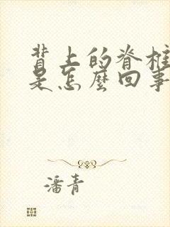 背上的脊椎骨疼是怎么回事