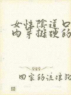 女性阴道口有小肉芽挺硬的