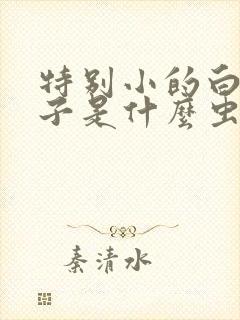 特别小的白色虫子是什么虫