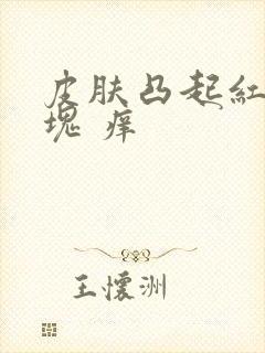 皮肤凸起红色硬块 痒