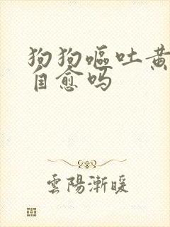 狗狗呕吐黄水能自愈吗