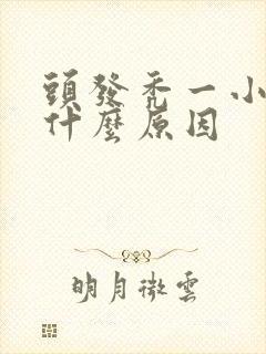 头发秃一小块是什么原因