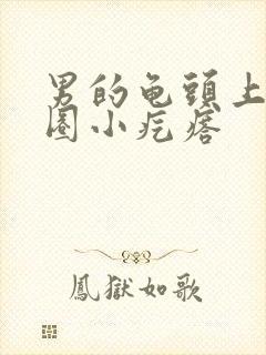 男的龟头上了一圈小疙瘩